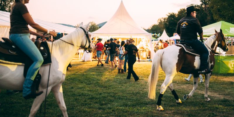 wild-west-fest-on-fire, zbiljsko-jezero, bbq, country, klobase
