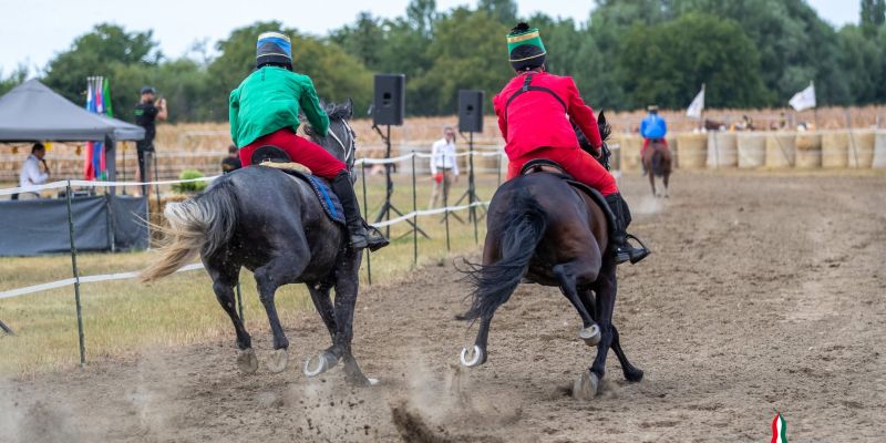 pomurski-galop, drustvo-za-zascito-konj