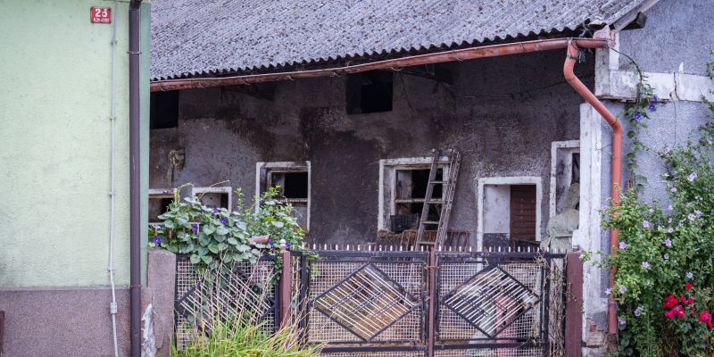 gospodarstvo, marjan-špur, iljaševci, pogin-govedi, mučenje-živali