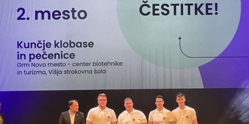 grm novo mesto, višja strokovna šola