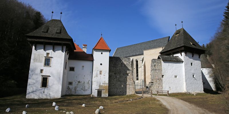 žička kartuzija.jpg