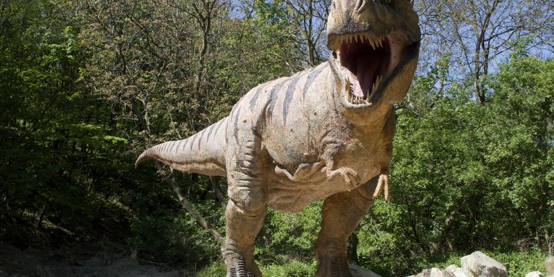 dinozaver