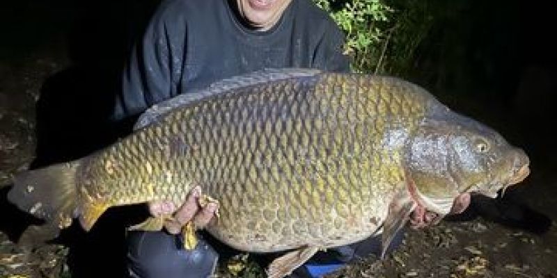 Potočnik Pjer krap 15,5 kg.jpg