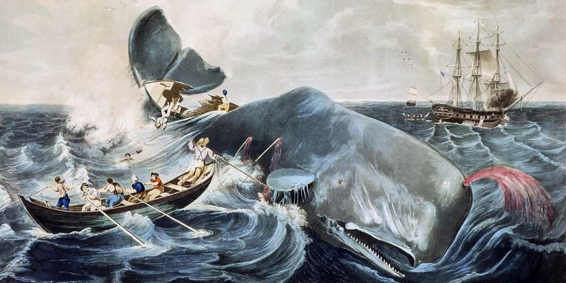 moby dick.jpg