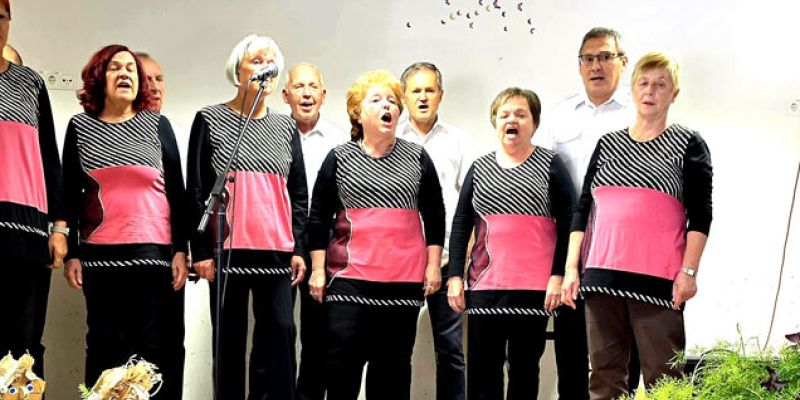 nč-nastop.jpg