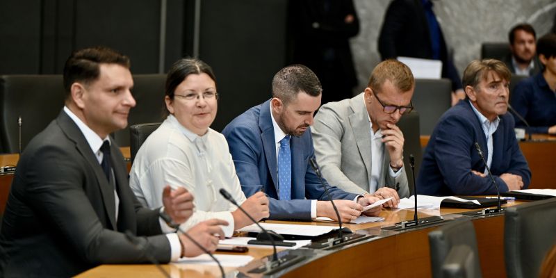 resnica poslanska skupina