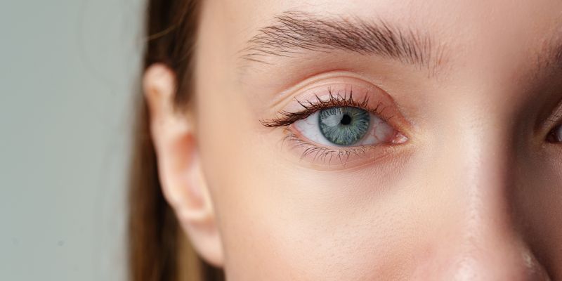 shutterstock_2507713173.jpg