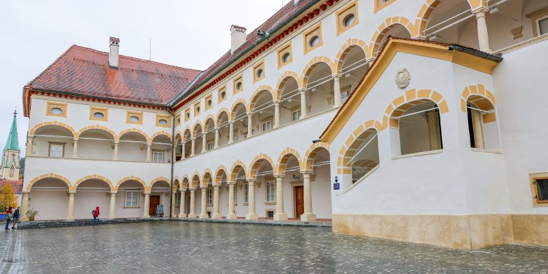 stara-grofija, celje, pokrajinski-muzej, kultura, celjski-strop