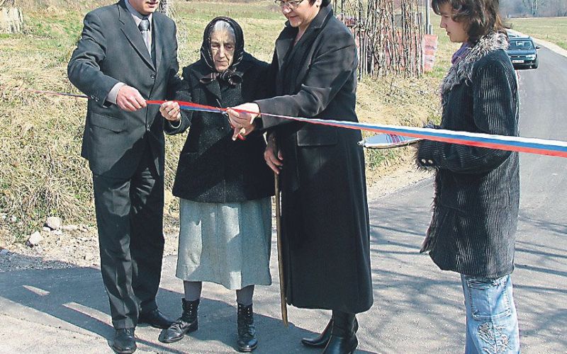 kot_pri_damlju_cesta.jpg