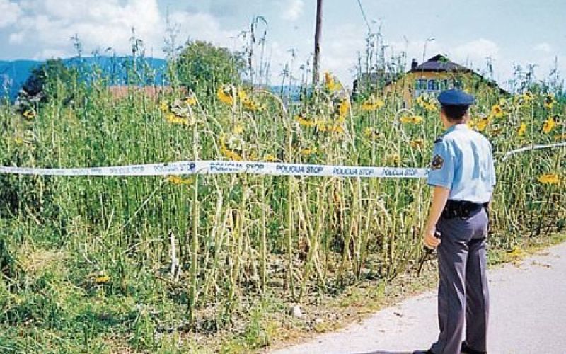 gazvoda_2.jpg