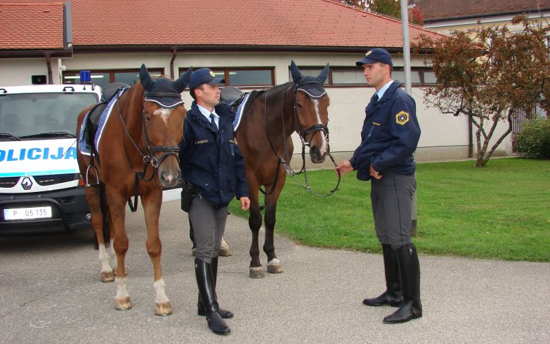 konj_policija.jpg