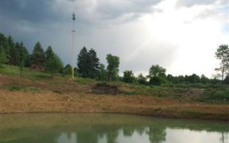 kkopa_006.jpg