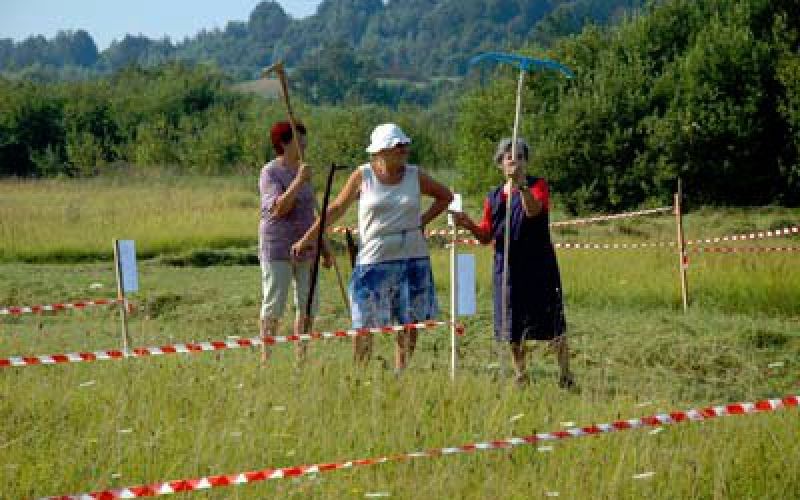lugi08_2.jpg