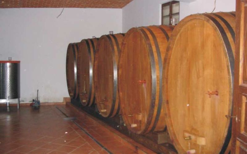 vinotrs04_velika.jpg