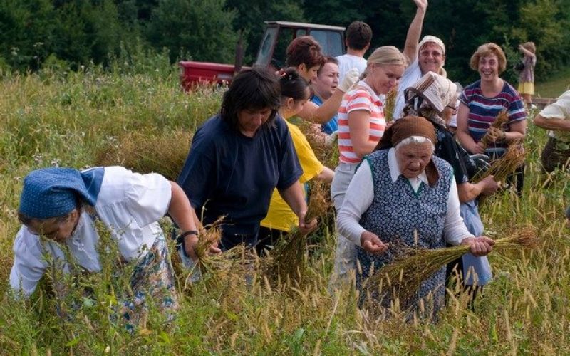 pukanje_lanu_preloka_zik_ric_kp_kolpa_006.jpg