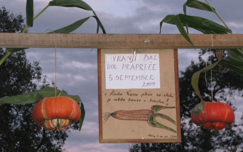 vdl_010.jpg