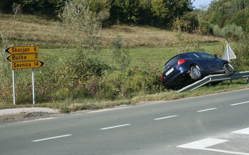 auris_zajahal_odbojno_ograjo.jpg