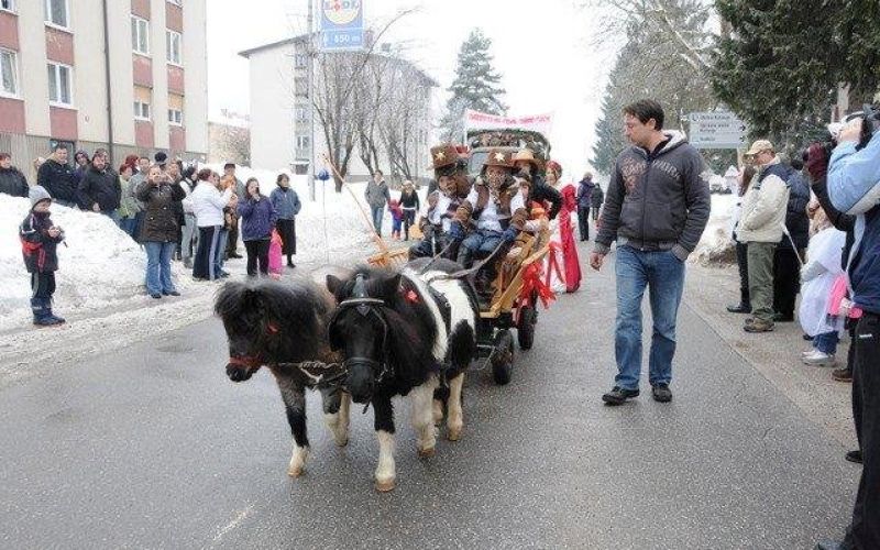 pustni_karneval_v_ko_evju__1_.jpg
