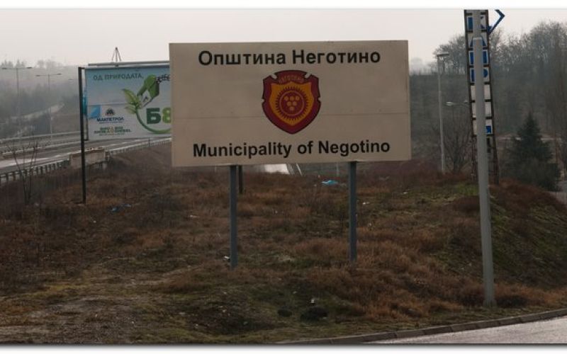 image00003_petek.jpg