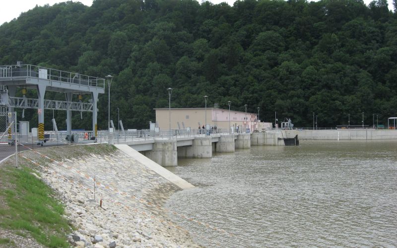 zamudam.jpg