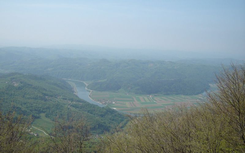 dsc04131_000.jpg