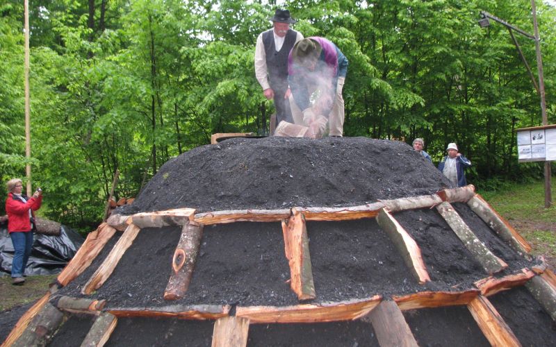 teden_gozdov_prizig_kope_maj_2010.jpg
