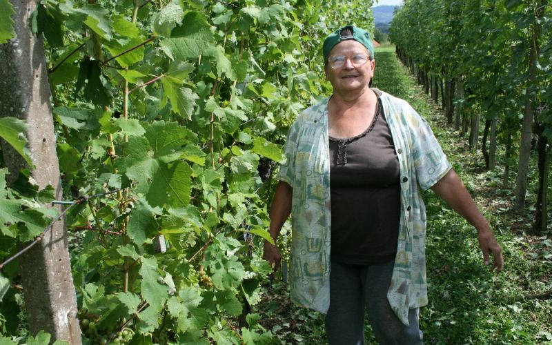 antonija_skof_v_vinogardi_v_szarritrai_vasi.jpg