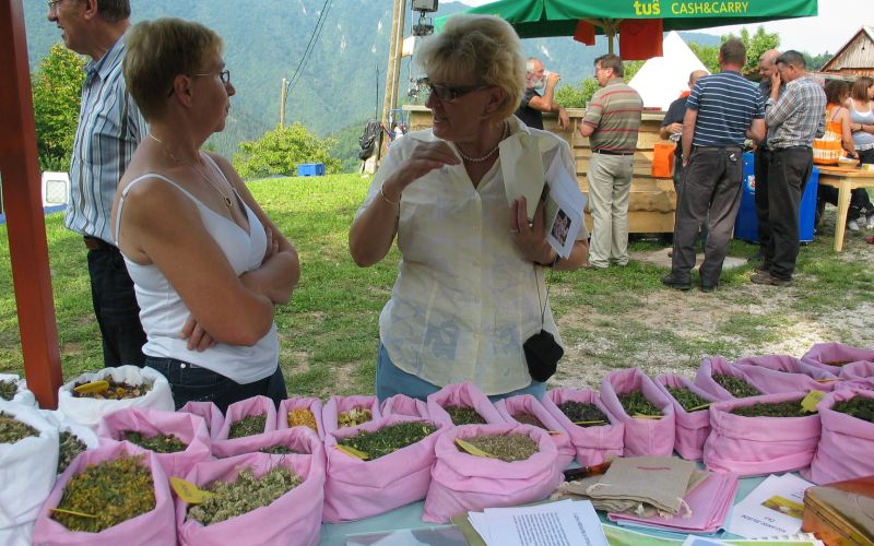 svibno_20100046.jpg