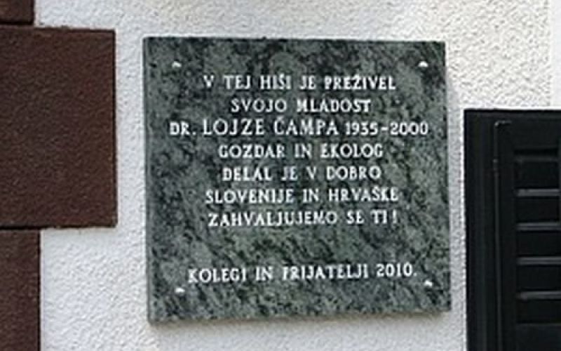 plosca_campa.jpg