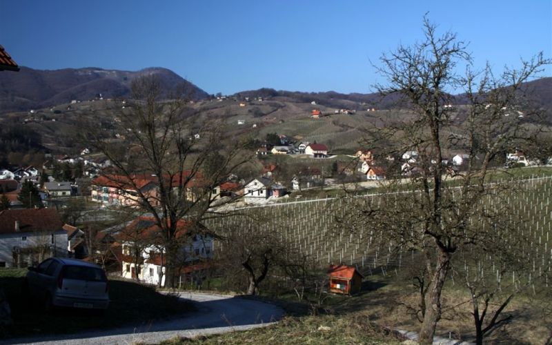 vincekovo_2011_08.jpg