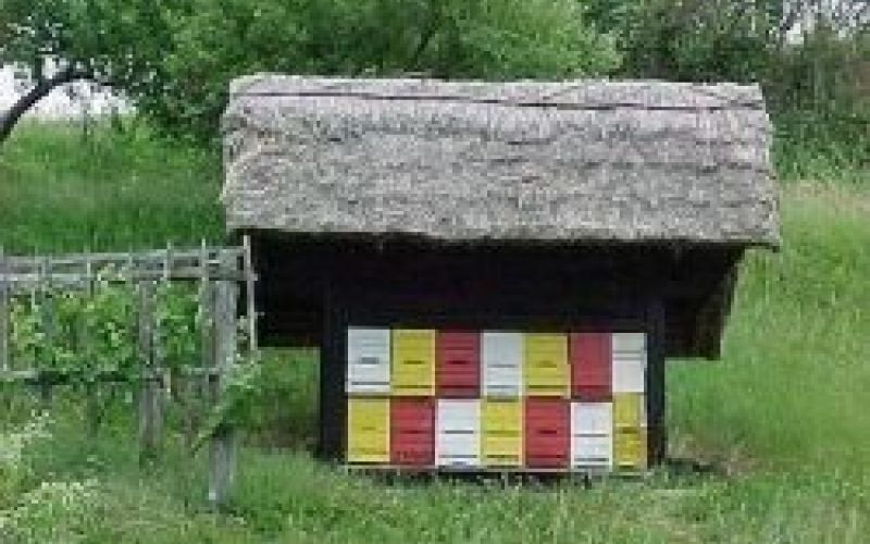cebelnjak.jpg