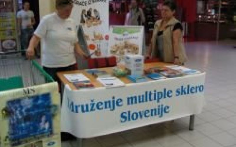 multipla_1.jpg