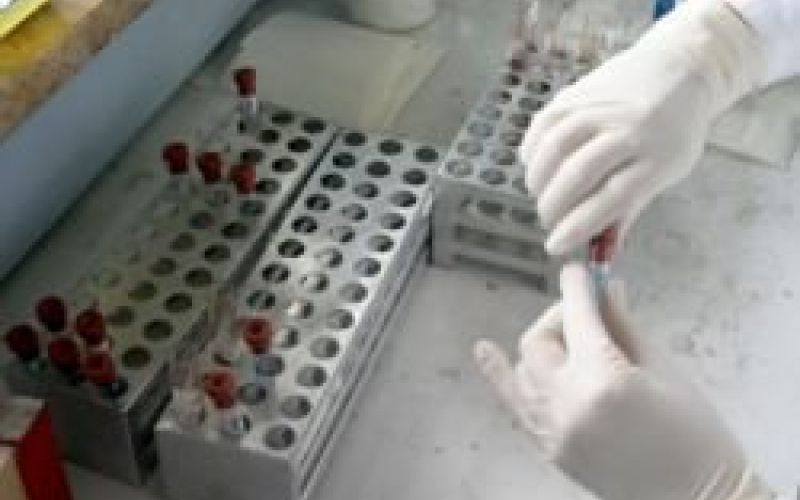 lab.jpg