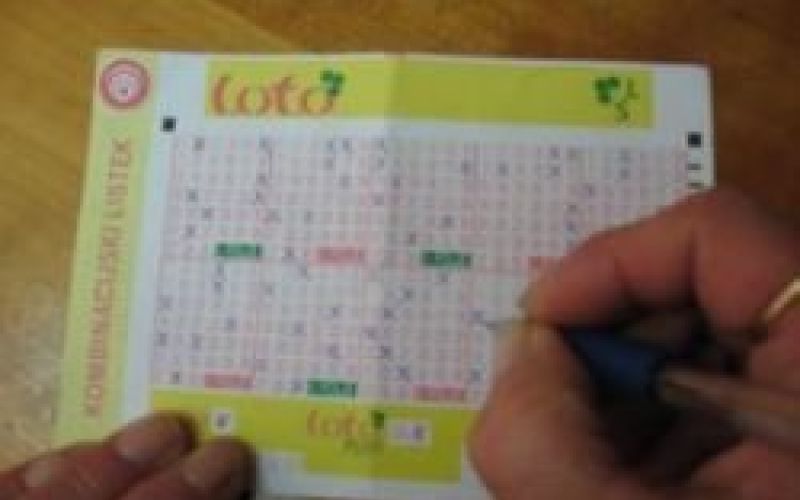 loto2.jpg