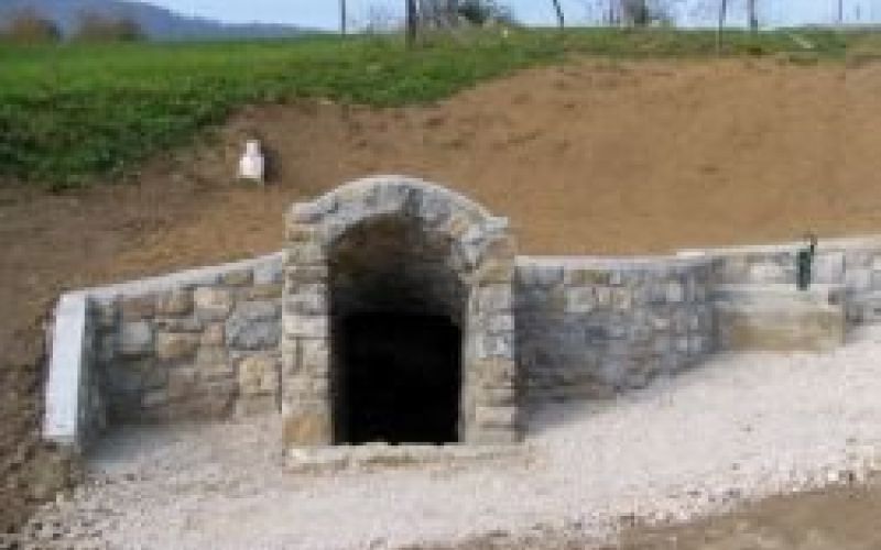lipovski_zdenc.jpg