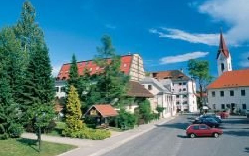 dolenjske_toplice1.jpg