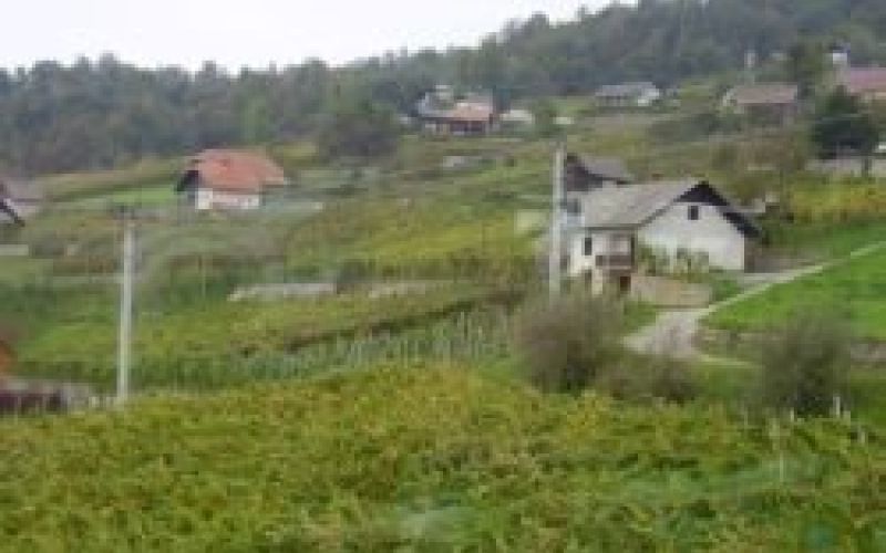 straznji_vrh.jpg