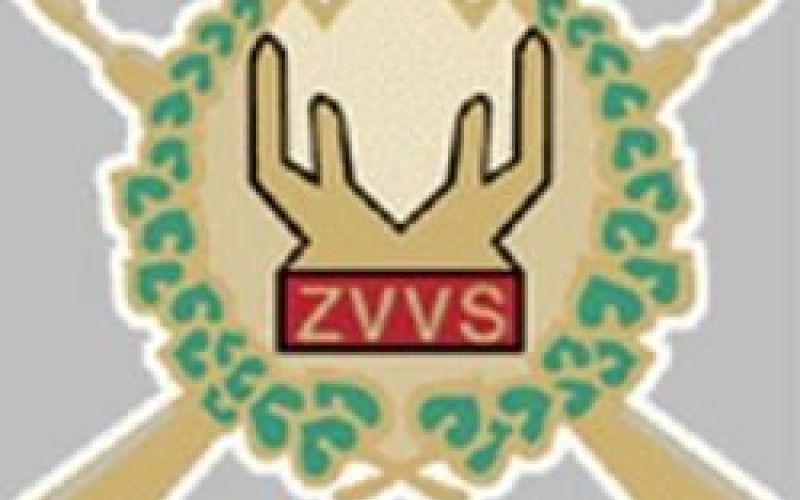 zvvs.jpg