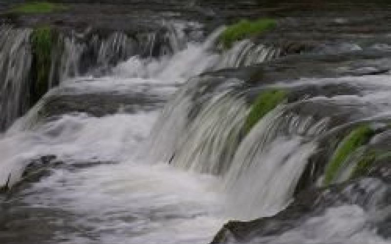 krka10.jpg