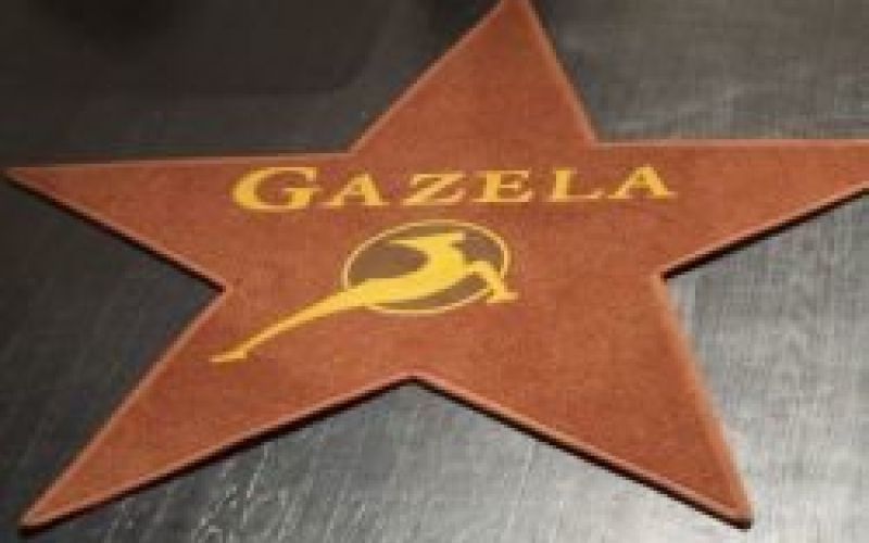 gazela1.jpg