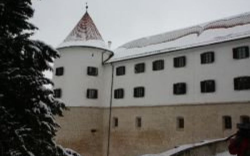mokrice1.jpg
