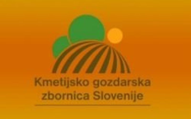 kgzs_logo.jpg