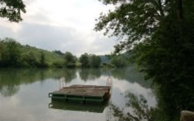 kolpa_kp.jpg