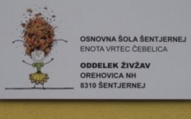 cebelica.jpg