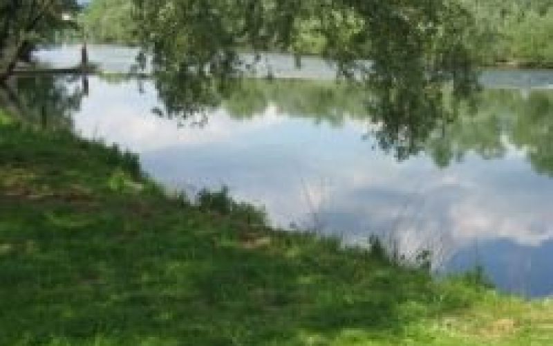 kolpa.jpg