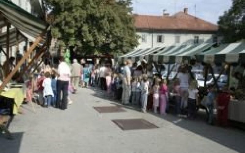 rokodelci7.jpg