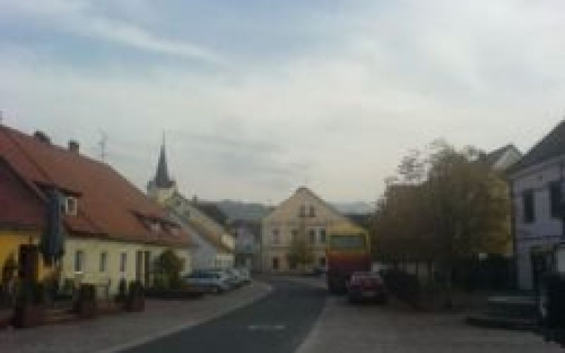 kostanjevica6.jpg