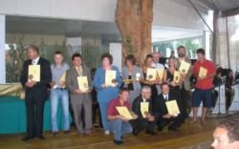 gornja_radgona_vino_08.jpg