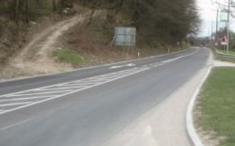 cestapicture_001.jpg