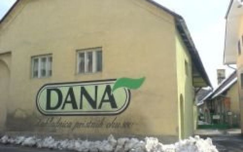 dana_5.jpg